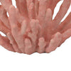 Lyla Coral Tabletop Decor | Branching Design Pink Resin | 13’’
