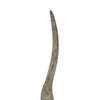 Linaa Decorative Antler Horn | Brown Resin Clear Acrylic Base | 32’’