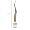 Linaa Decorative Antler Horn | Brown Resin Clear Acrylic Base | 32’’