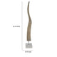 Linaa Decorative Antler Horn | Brown Resin Clear Acrylic Base | 32’’