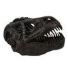 T Rex Skull Decor | Fossil Inspired Dark Brown and Black Resin | 13’’ BM335015