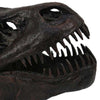 T Rex Skull Decor | Fossil Inspired Dark Brown and Black Resin | 13’’ BM335015