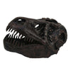 T Rex Skull Decor | Fossil Inspired Dark Brown and Black Resin | 13"