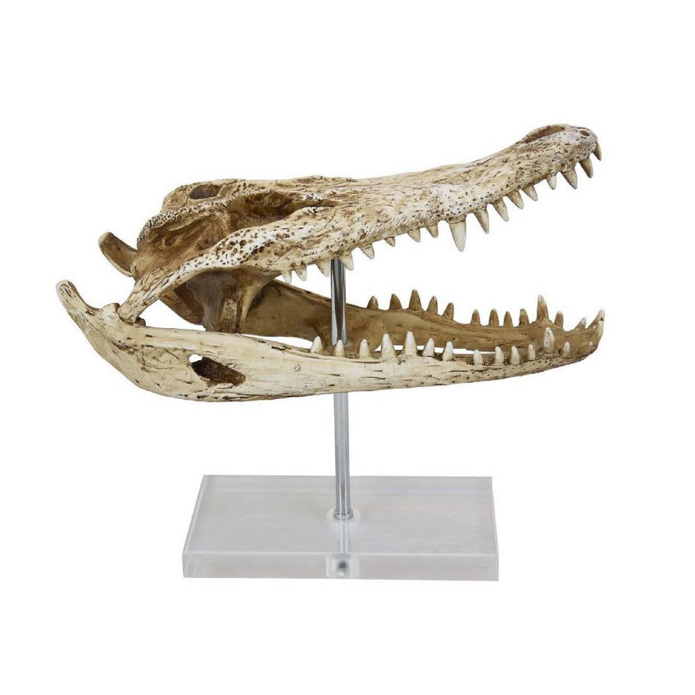 Crocodile Head Accent Decor | Bone White | Brown Resin | Acrylic 13’’ BM335016