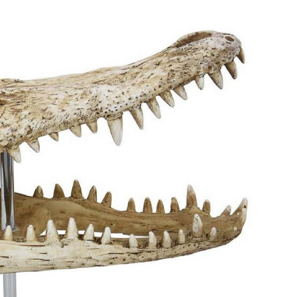 Crocodile Head Accent Decor | Bone White | Brown Resin | Acrylic 13’’ BM335016