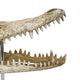 Crocodile Head Accent Decor | Bone White | Brown Resin | Acrylic 13’’ BM335016