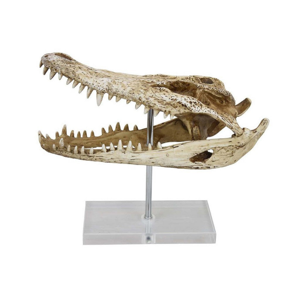 Crocodile Head Accent Decor | Bone White | Brown Resin | Acrylic 13"