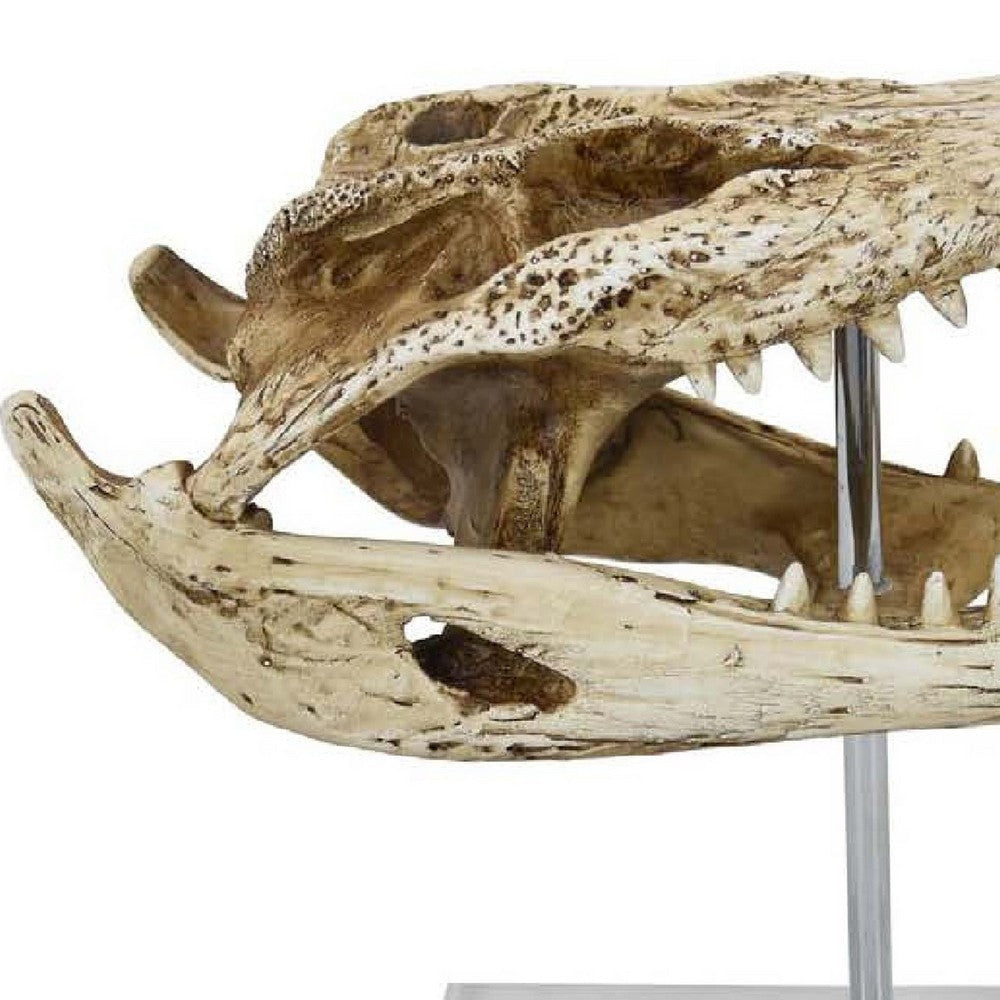 Crocodile Head Accent Decor | Bone White | Brown Resin | Acrylic 13’’ BM335016