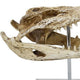 Crocodile Head Accent Decor | Bone White | Brown Resin | Acrylic 13’’ BM335016