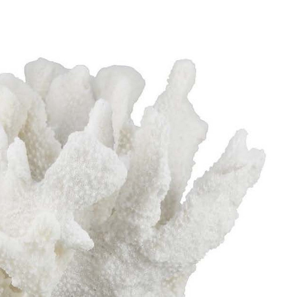 Manala Coral Sculpture with Clear Acrylic Base | White Resin 12’’