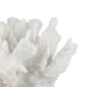 Manala Coral Sculpture with Clear Acrylic Base | White Resin 12’’
