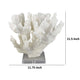 Manala Coral Sculpture with Clear Acrylic Base | White Resin 12’’