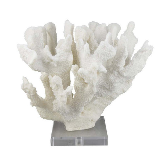 Manala Coral Sculpture with Clear Acrylic Base | White Resin 12"