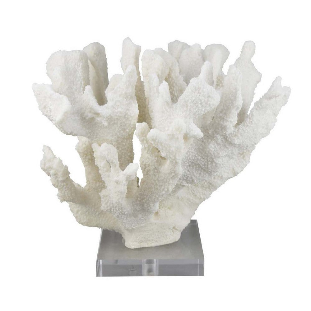 Manala Coral Sculpture with Clear Acrylic Base | White Resin 12"