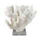 Manala Coral Sculpture with Clear Acrylic Base | White Resin 12"