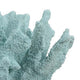 Manala Coral Sculpture with Clear Acrylic Base | Blue Resin 12’’