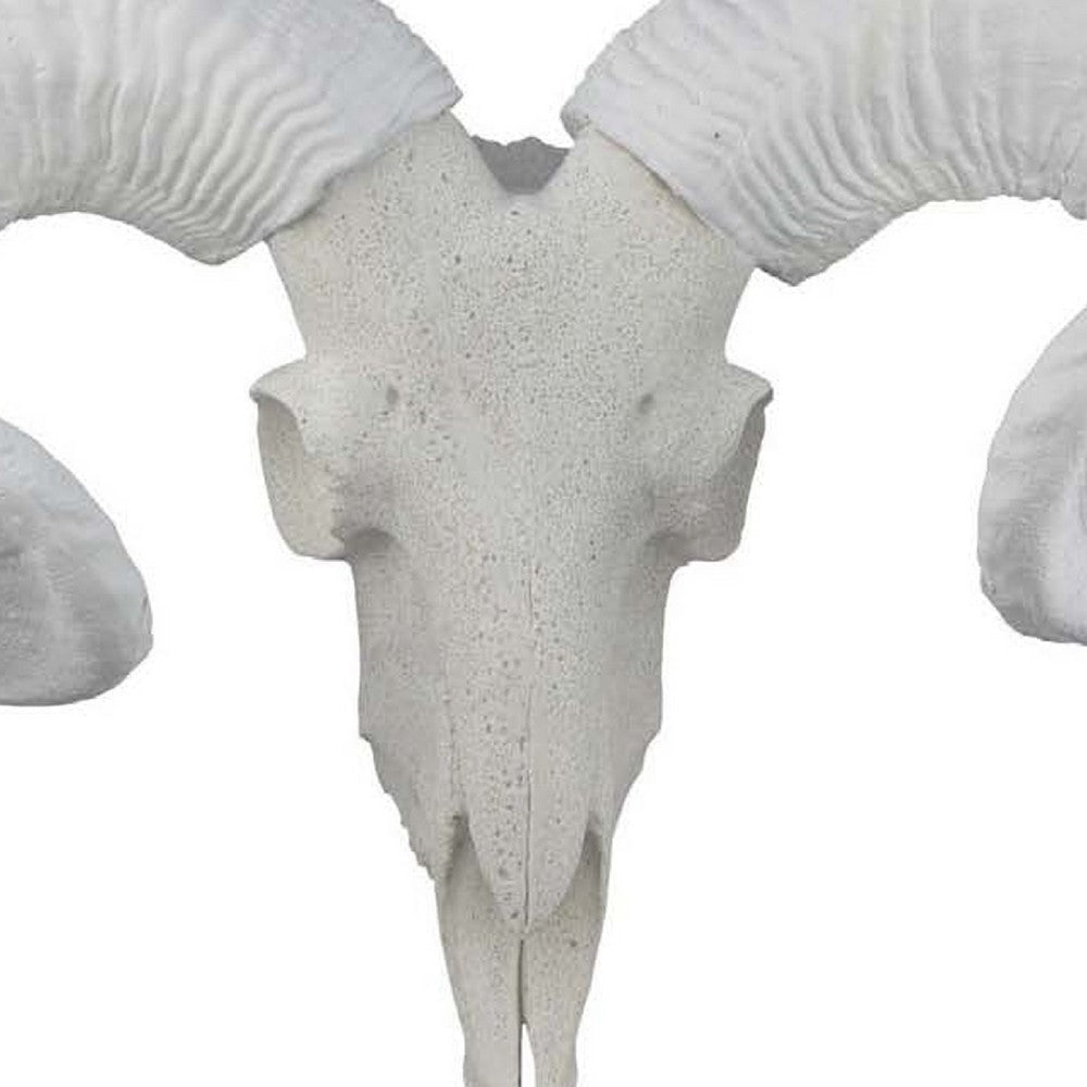 Mitch Bighead Sheep Ram Sculpture Curved Horns | White Resin 16’’ BM335034