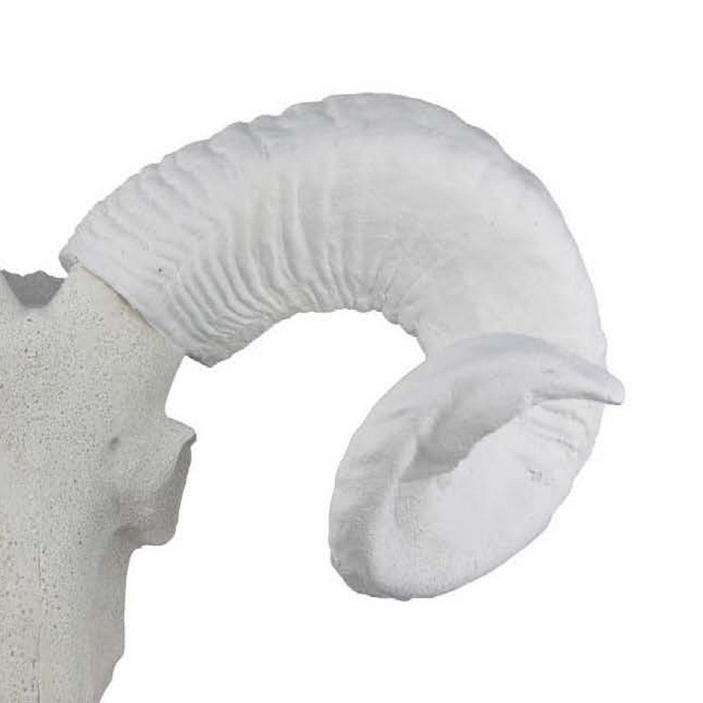 Mitch Bighead Sheep Ram Sculpture Curved Horns | White Resin 16’’ BM335034