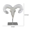 Mitch Bighead Sheep Ram Sculpture Curved Horns | White Resin 16’’ BM335034