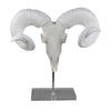 Mitch Bighead Sheep Ram Sculpture Curved Horns | White Resin 16"