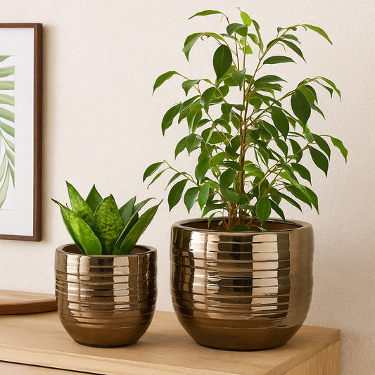 Paulo Barrel Planter Set of 2 | Raised Ribbed Gold Ceramic 19 | 15"