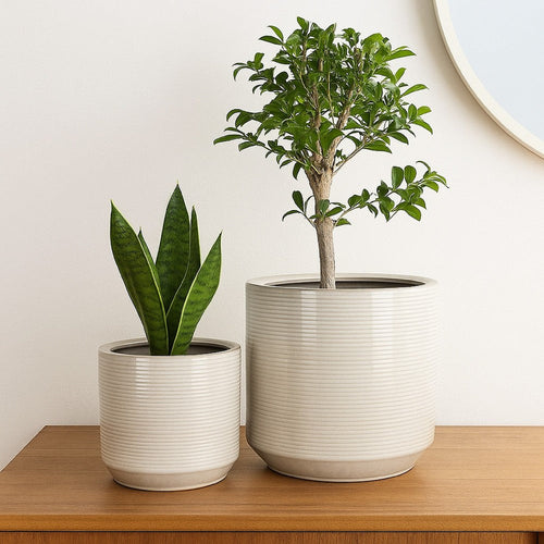 Gloria Round Planter Set of 2 | Textured White Ceramic | 15 | 14"