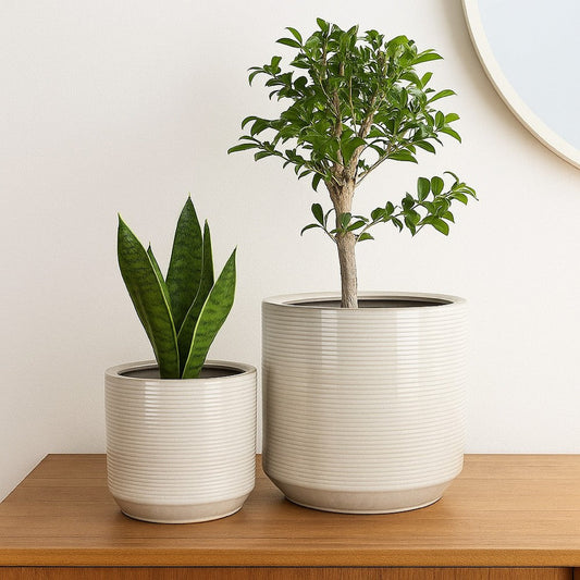 Gloria Round Planter Set of 2 | Textured White Ceramic | 15 | 14"