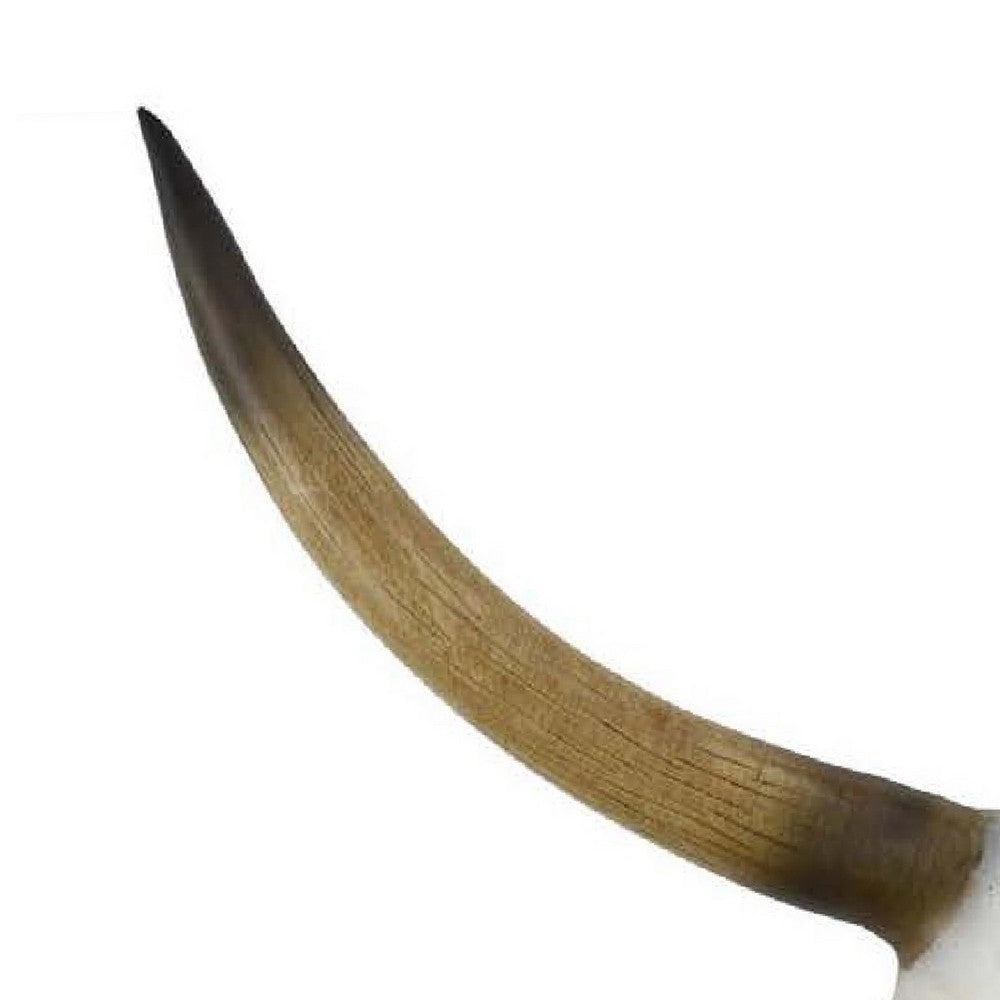 Kriya Accent Sculpture | Longhorn Bull Skull | White Resin 19’’ BM335065