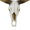 Kriya Accent Sculpture | Longhorn Bull Skull | White Resin 19’’ BM335065
