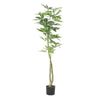 Leso Faux Macrocarpa Plant | Realistic Hand Shaped Green Leaves 63’’