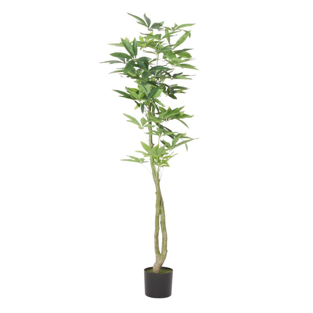 Leso Faux Macrocarpa Plant | Realistic Hand Shaped Green Leaves 63’’