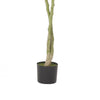 Leso Faux Macrocarpa Plant | Realistic Hand Shaped Green Leaves 63’’