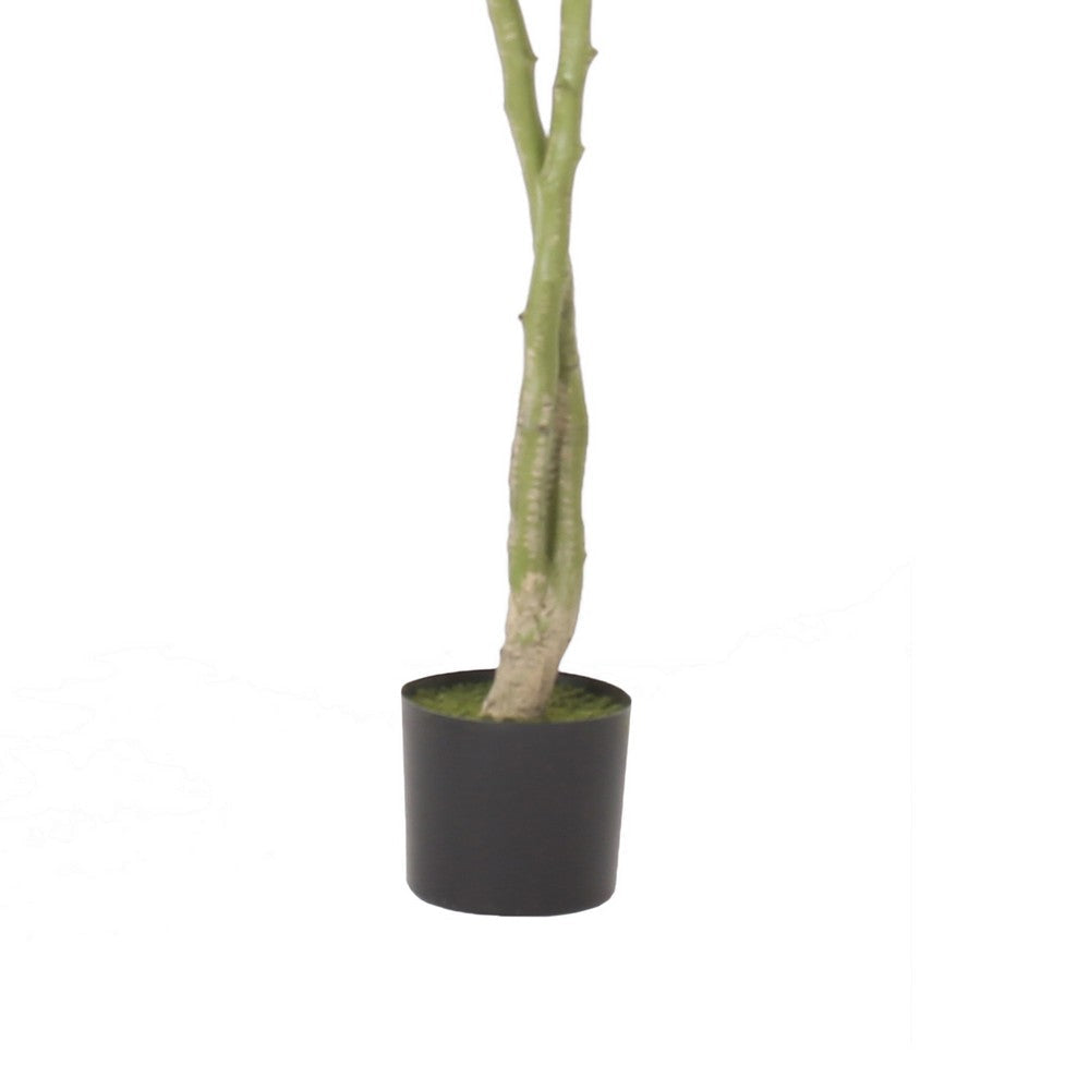 Leso Faux Macrocarpa Plant | Realistic Hand Shaped Green Leaves 63’’