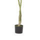 Leso Faux Macrocarpa Plant | Realistic Hand Shaped Green Leaves 63’’
