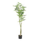 Leso Faux Macrocarpa Plant | Realistic Hand Shaped Green Leaves 63"
