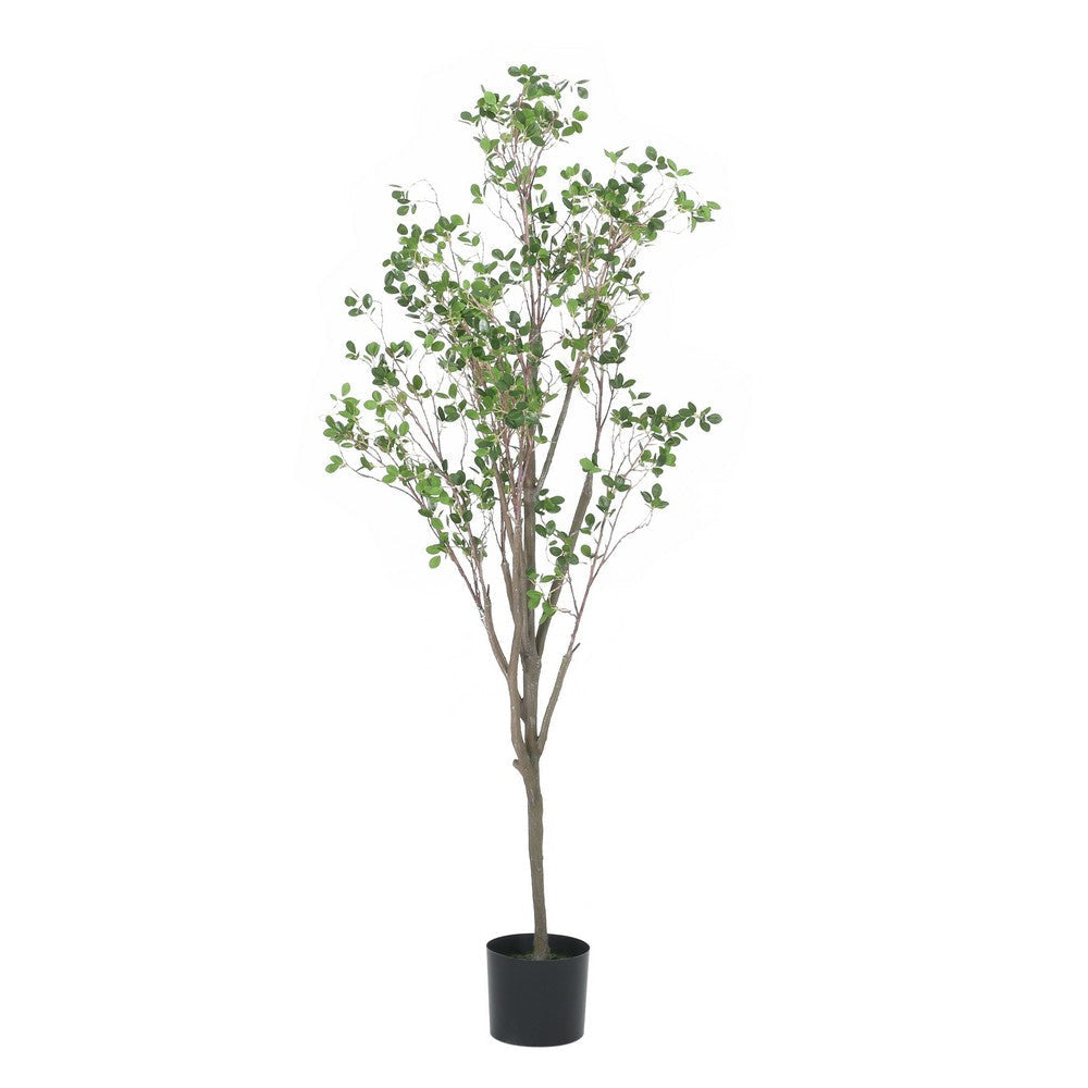 Deso Faux Milan Leaf Bonsai | Realistic Rich Green Oval Leaves 71"