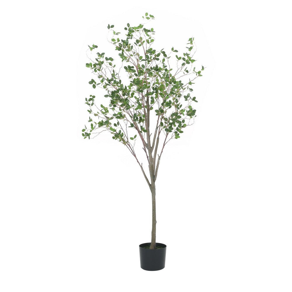 Deso Faux Milan Leaf Bonsai | Realistic Rich Green Oval Leaves 59’’