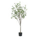 Deso Faux Milan Leaf Bonsai | Realistic Rich Green Oval Leaves 59’’