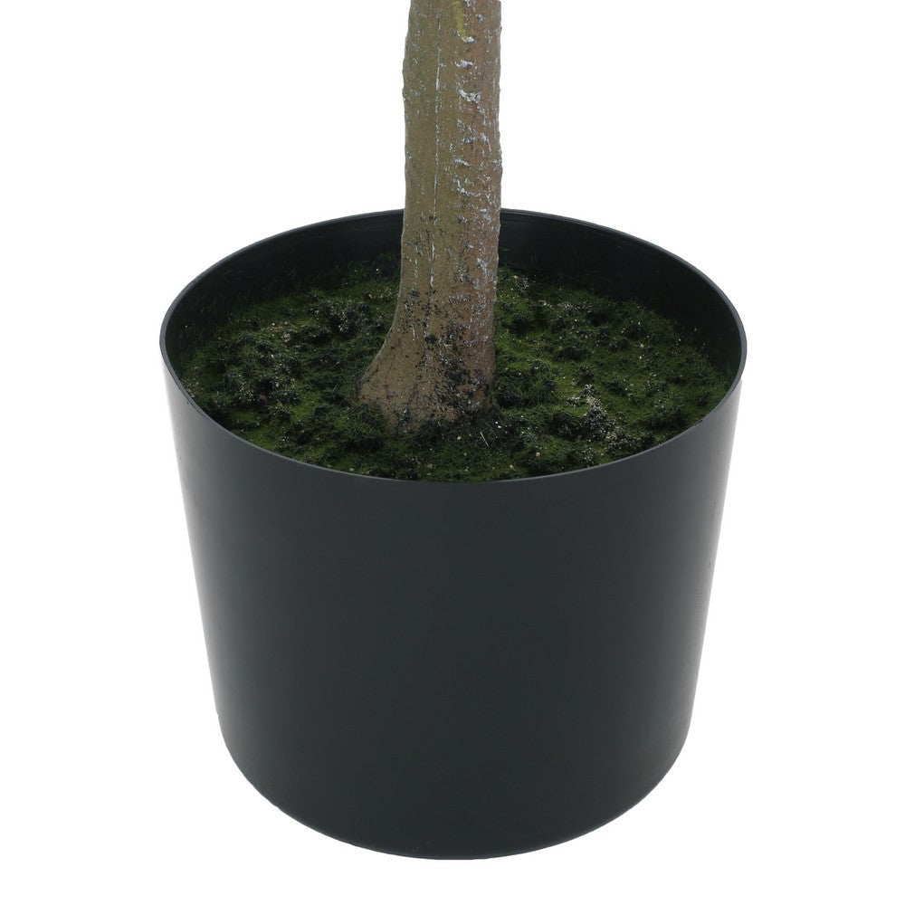 Deso Faux Milan Leaf Bonsai | Realistic Rich Green Oval Leaves 59’’