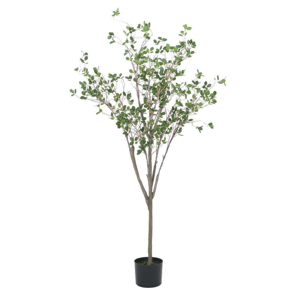 Deso Faux Milan Leaf Bonsai | Realistic Rich Green Oval Leaves 59"