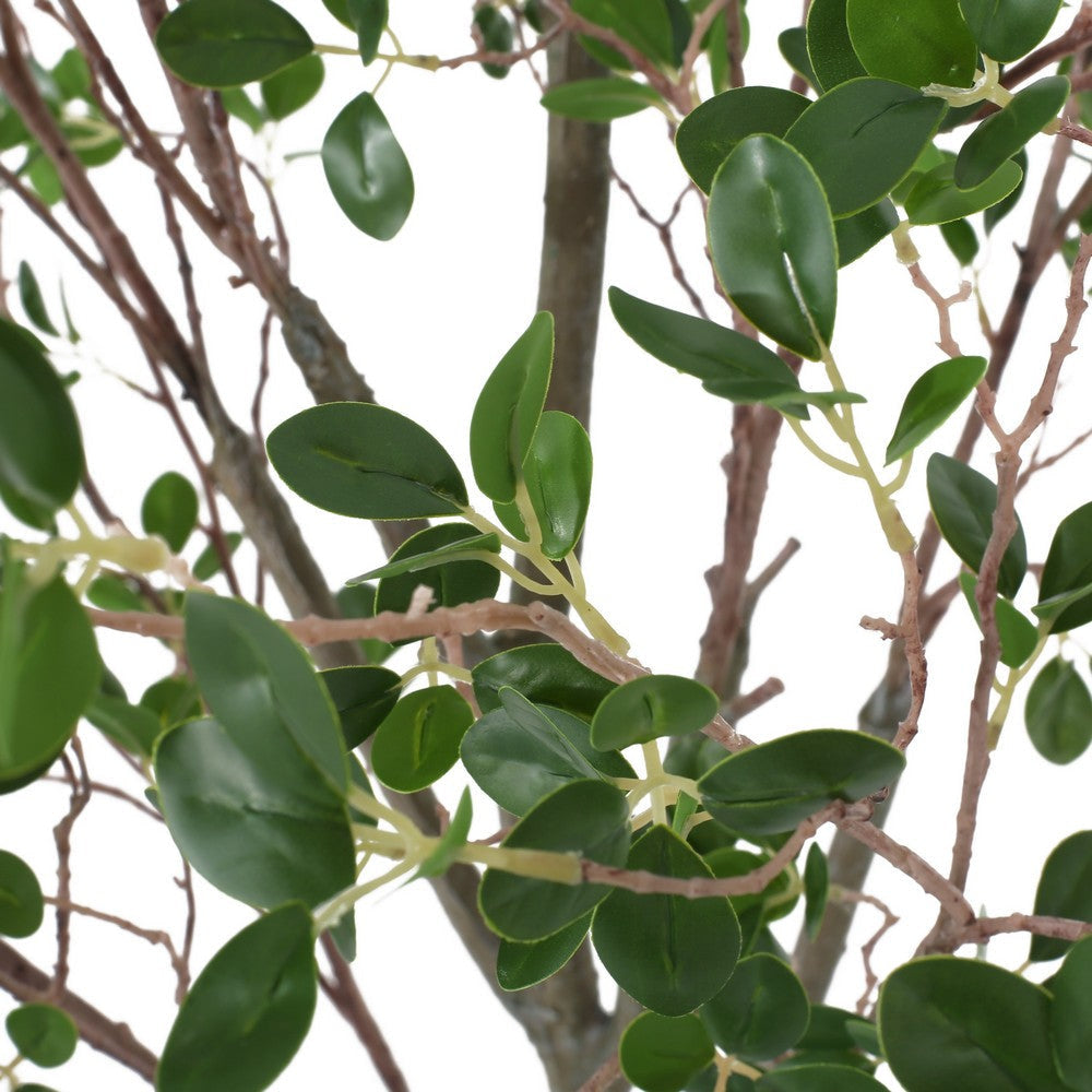 Deso Faux Milan Leaf Bonsai | Realistic Rich Green Oval Leaves 59’’