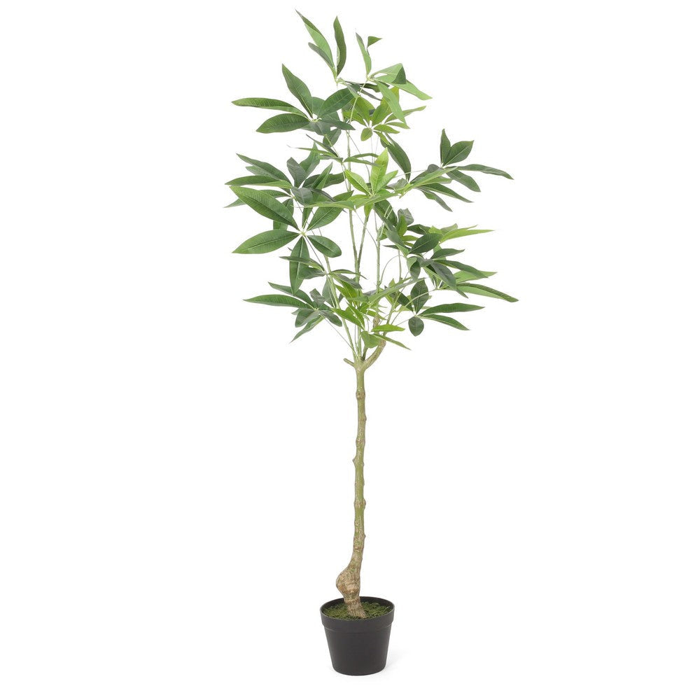 Leso Faux Macrocarpa Plant | Realistic Hand Shaped Green Leaves 47’’