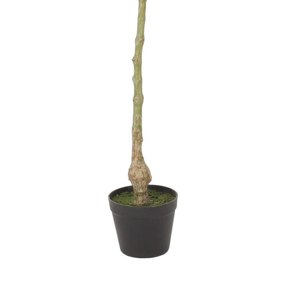 Leso Faux Macrocarpa Plant | Realistic Hand Shaped Green Leaves 47’’
