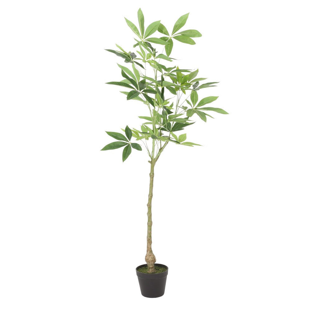 Leso Faux Macrocarpa Plant | Realistic Hand Shaped Green Leaves 47"