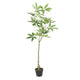 Leso Faux Macrocarpa Plant | Realistic Hand Shaped Green Leaves 47"