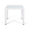 Mandy Outdoor Side Table | Opaque Glass Top | White Metal 20"