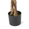 Deso Artificial Ficus Tree | Green Leaves w Twisted Trunk | 71’’ BM335369