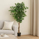 Deso Artificial Ficus Tree | Green Leaves w Twisted Trunk | 71"