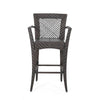 Fela Outdoor Barstool Chair Set of 2 | Wicker Woven | Brown Iron Frame