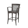 Fela Outdoor Barstool Chair Set of 2 | Wicker Woven | Brown Iron Frame